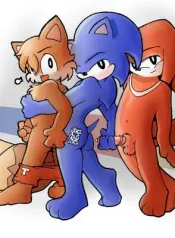 sonic-yaoi-furries-group-sex-sex-comic.jpg
